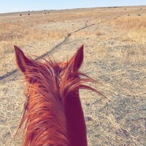 Meet your Posher, Brooklynn